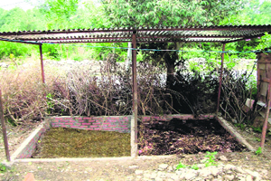 A vermi-composting unit. Farmers are incresingly taking to vermi-composting.