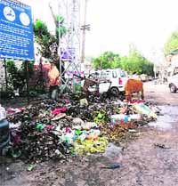 Littered garbage not only emanates foul smell but also attracts animals in Rajouri town. 