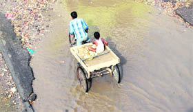 A cart-puller crosses an inundated road near the Hoshiarpur flyover.