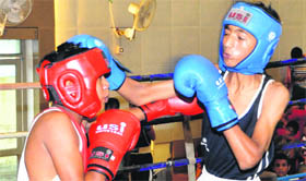 A boxing match in progress during the 28th Sub-Junior Punjab Boxing Championship in Jalandhar on Sunday.