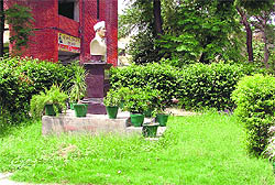 Weeds growing at Shaheed Sukhdev Senior Secondary School at Bharat Nagar in Ludhiana