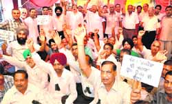 Wholesale sugar merchants stage a dharna at Gur Mandi against the imposition of VAT on sugar in Jalandhar on Monday. 
