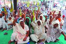 Members of the Bharatiya Kisan Union Ekta-Ugrahan during a protest held outside the Mini-secretariat in Bathinda on Tuesday. Accusing the state government of apathy, farmers are demanding compensation and continuous power supply.