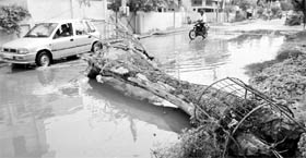 An uprooted tree blocks a road in Patiala on Tuesday.