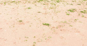 The ground at GMSSS-37 where the tournament is being held