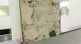 All tiles gave way on a wall in the corridor of the orthopaedic ward in the PGI on Tuesday.