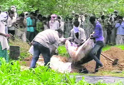 The grave of Sahroona being dug up to extricate her body at Devla village in Nuh district on Tuesday. 