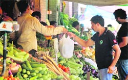 Despite a ban on polythene bags in J&K, their use goes unchecked in the Nai Basti vegetable market of Jammu. Photo: Inderjeet Singh