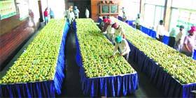 The exhibition going on at Guru Nanak Bhawan in Amritsar