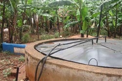 PEDA is offering subsidy on biogas plants to promote usage.