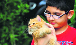A boy with a Persian cat. 