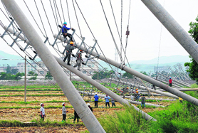 Workers repair a row of fallen electric poles in Wenling on Wednesday after Typhoon Haikui made landfall. 