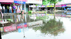 Rainwater accumulates in front of the booth market at Sector 17 in Chandigarh on Thursday
