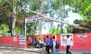 A fallen tree dangles dangerously above the gate of Government High School, Sector 52, Kajheri village, Chandigarh, on Saturday.