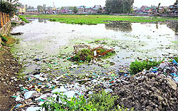 A view of the Kadalbal Pampore stadium which has turned into a pond