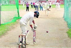 Cricket trials under way in Ludhiana. Photo: Inderjeet Verma 