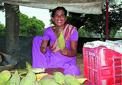 Anarkali selling corn cobs near the Bathinda-Sirsa railway line on Sunday