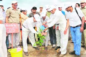 Garhwal circle Forest Conservator Gambhir Singh, Rana Ranbeer SIngh, Vijay Pal Baghel and Uday Ram Semwal of the Himalaya Vahini plant saplings at Nakshatra Vatika, Kankhal, in Haridwar on Sunday