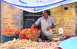A vendor sells vegetables at a local market in Jammu on Sunday. Tribune Photo: Inderjeet Singh