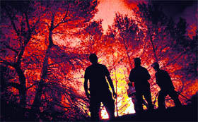 Firefighters try to extinguish a wildfire in Torre de Macanes near Alicante, Spain, on Monday.