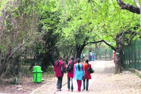 Visitors at the sanctuary