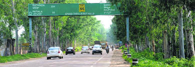 The Zirakpur-Bathinda highway where trees on both sides of the road will be axed as part of its four-laning. 