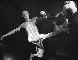 A plastinated human body in the posture of a football player is seen during the Body Worlds exhibition by Gunther von Hagen at the Universum Museum in Mexico City. Von Hagen is a German anatomist who invented plastination, the method for preserving biological tissue specimens. The exhibition shows whole bodies plastinated in lifelike poses and dissected to show various structures and system of human anatomy