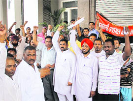 Members of the Municipal Corporation employees union pull down shutters at the entrance to the building demanding regularisation of gardneners in Jalandhar on Friday. 