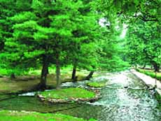 The picturesque Kokernag awaits tourists.