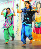 Students present a dance performance during a freshers party at Dev Samaj College, Sector 45, Chandigarh, on Saturday. 