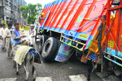 An accident was averted when an overloaded truck got stuck in a caved-in road near the Old District Courts in Ludhiana on Sunday. 