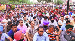 Contractual teachers stage a protest in Ludhiana on Sunday. 
