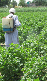 A farmer spraying pesticide in his agricultural fields