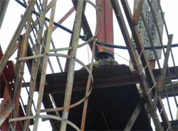 Day 4: Muthu atop the tower. Tribune photo: Manas Ranjan Bhui 