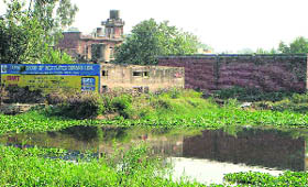 A view of the civil dispensary and the adjoining pond in Doraha.