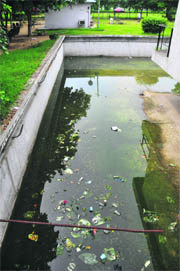 Stagnant water in a water tank at Punjab Agricultural University in Ludhiana.