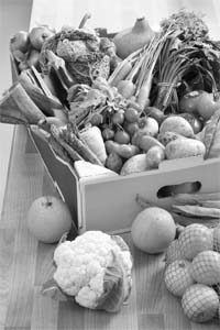 If we grow food ecologically with internal inputs, more food will stay with the farming house-hold and there will be less malnutrition in rural children