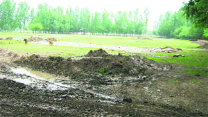 A mud track leads to the site of the Industrial Estate, Qazigund. Photo by writer