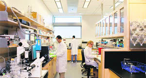 Biomedical engineering is a dynamic field best suited for those who are technically sound, enjoy research work and are deeply interested in developing cutting-edge technologies 