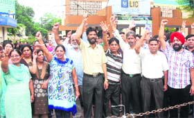 Members of the North Zone Insurance Employees Association hold a demonstration in support of bank employees in Jalandhar on Wednesday