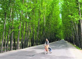Two boys enjoy a cycle ride on the scenic national highway in Awantipora in Pulwama district