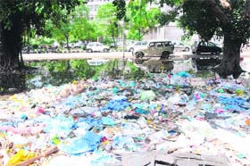 The Guru Nanak Dev Hospital premises in Amritsar has taken the shape of a dumpyard, with biowaste and stagnant rainwater giving out foul smell in Amritsar
