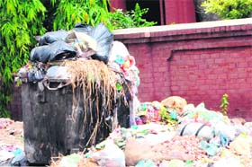 An overflowing garbage bin adjacant to the boundary wall of St Marys School in Amritsar