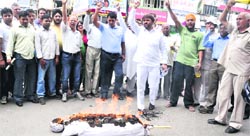 Members of the Uttarakhand Sarv Samaj Sangathan burn an effigy of the UKD in Dehradun on Thursday. Tribune photo: Vinod Pundir
