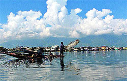 Against the backdrop of white clouds and azure sky, the Dal Lake in Srinagar looks magical