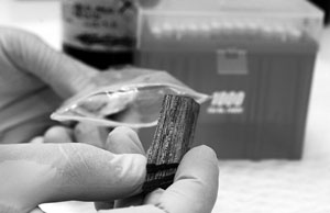 Andrew Lowe, Professor of Plant Conservation Biology at the University of Adelaide, prepares to examine the DNA of a piece of wood at his lab in Adelaide, Australia. Unlike the crime scene investigators from the popular TV series, these detectives are hired to look for evidence of rogue wood from stores increasingly worried about being duped by a global trade in illegal timber now worth billions of dollars. They take wood samples into their lab and put them through DNA tests that can pinpoint the species and origin of a piece of timber. 