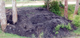 A pile of fly ash dumped near Jagdev Kalan village in Amritsar.