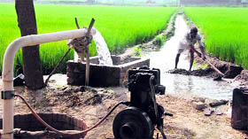 A farmer guides the water flow at his field in Bathinda.