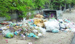 In the absence of House meetings, the city experienced a major garbage crisis. A file photo
