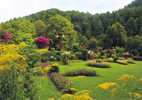 A view of the Kokernag garden, 70 km south of Srinagar